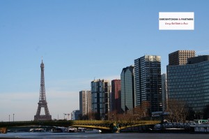 TOTEM TOWER - FRONT DE SEINE-  GULF CONNECTIONS - LUXURY REAL ESTATE IN PARIS